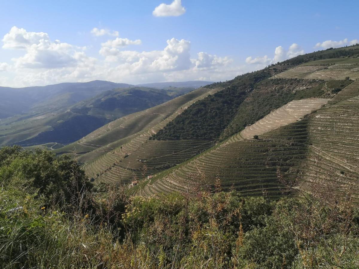 Douro Valley - Casa Da Praca Ervedosa do Douro Eksteriør billede